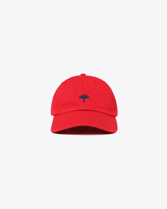 Pinetto Cap - rosso/blu