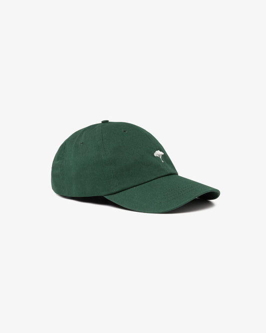 Pinetto Cap - verde/bianco