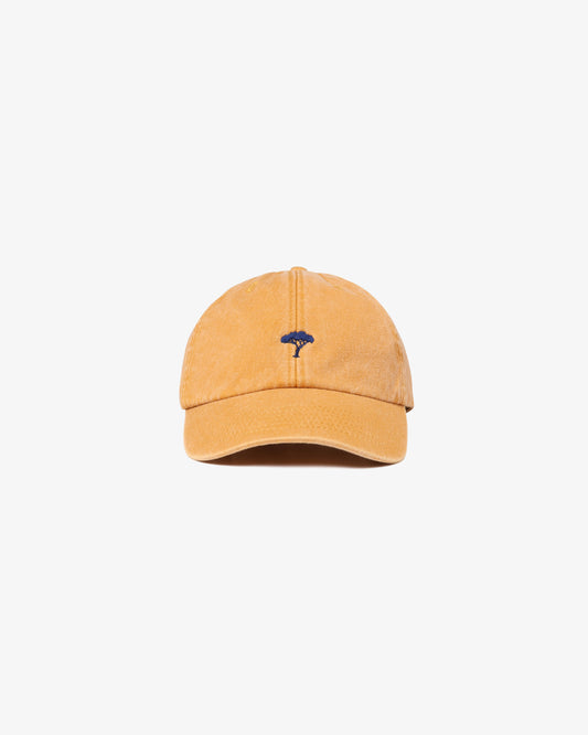 Pinetto Cap - senape/blu