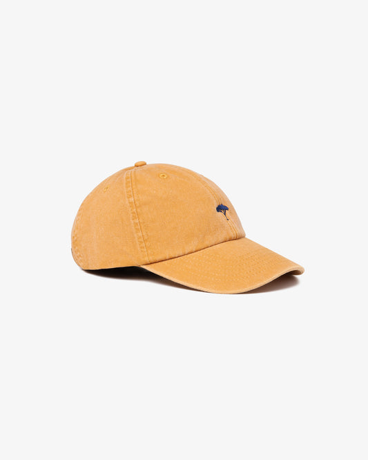 Pinetto Cap - senape/blu