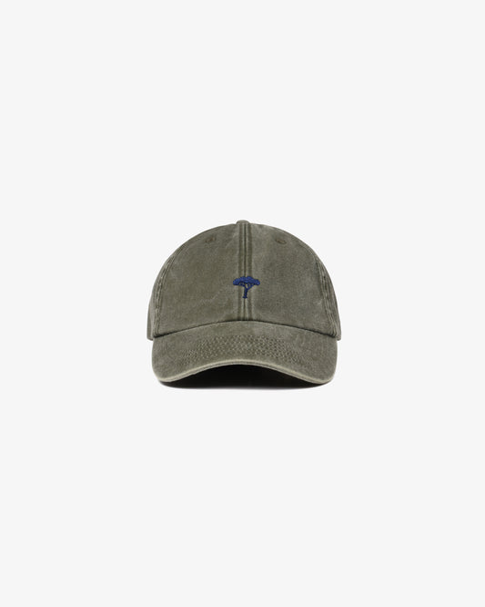 Pinetto Cap - verde/blu