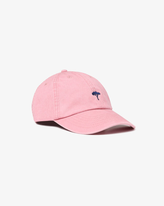 Pinetto Cap - rosa/blu
