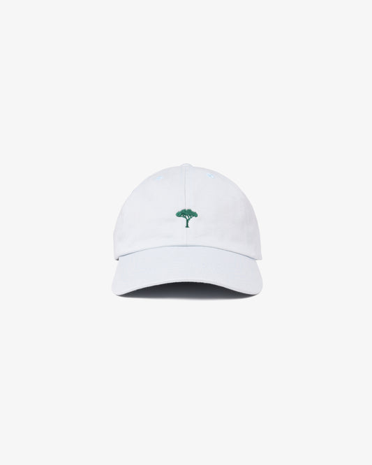 Pinetto Cap - bianco/verde