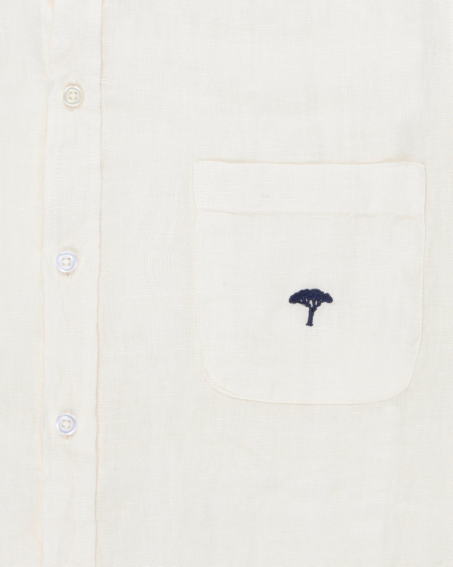 Camicia lino pinetto - Burro