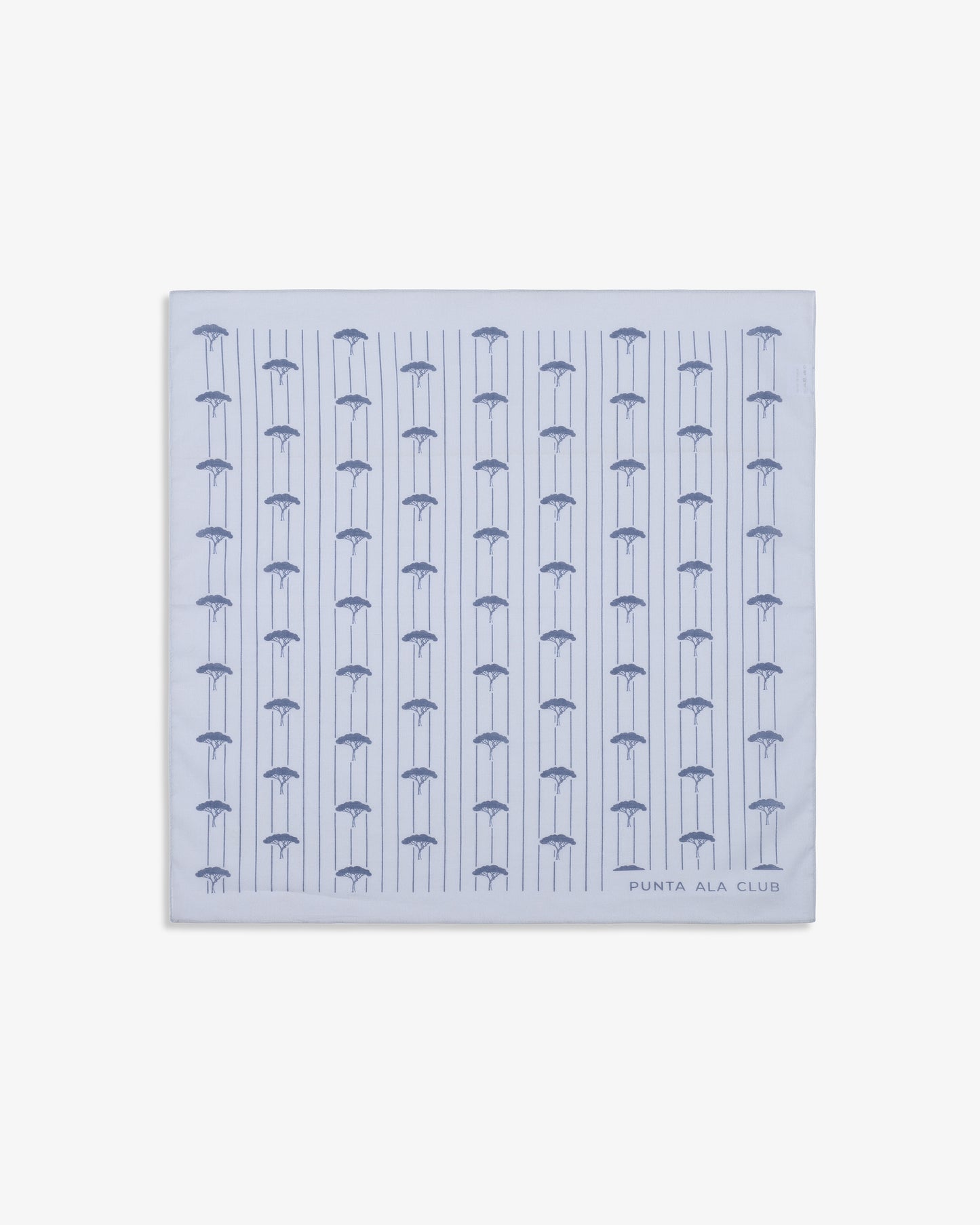 Foulard con pinetti - celeste